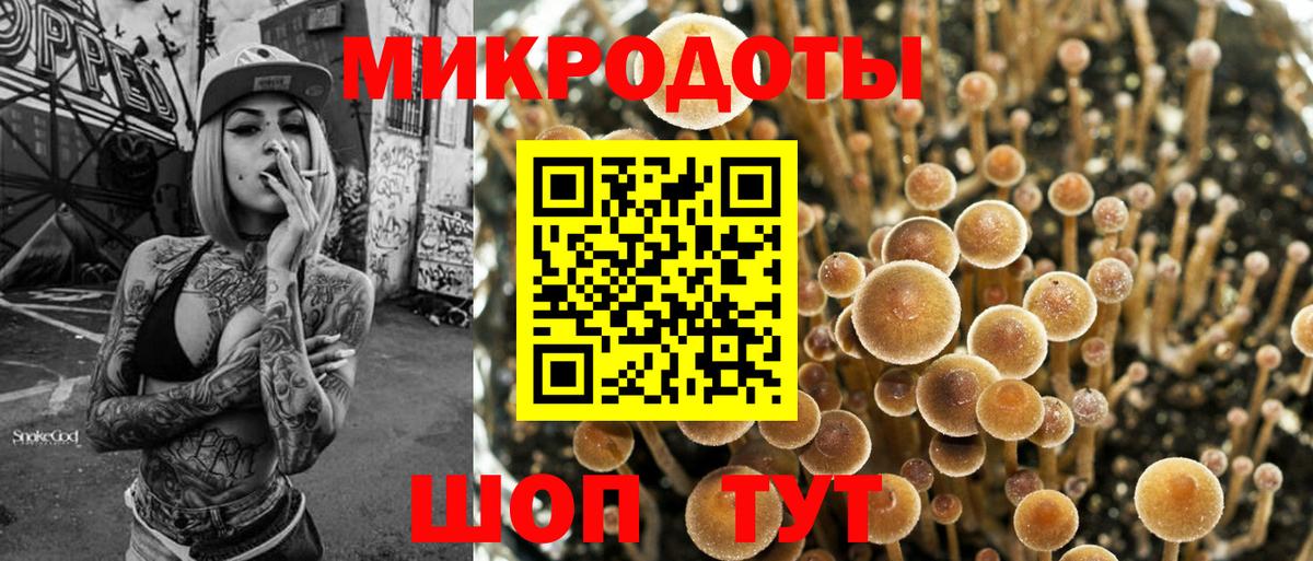 Псилоцибиновые грибы GOLDEN TEACHER  где купить наркоту  Южно-Сахалинск  Вход с VPN 